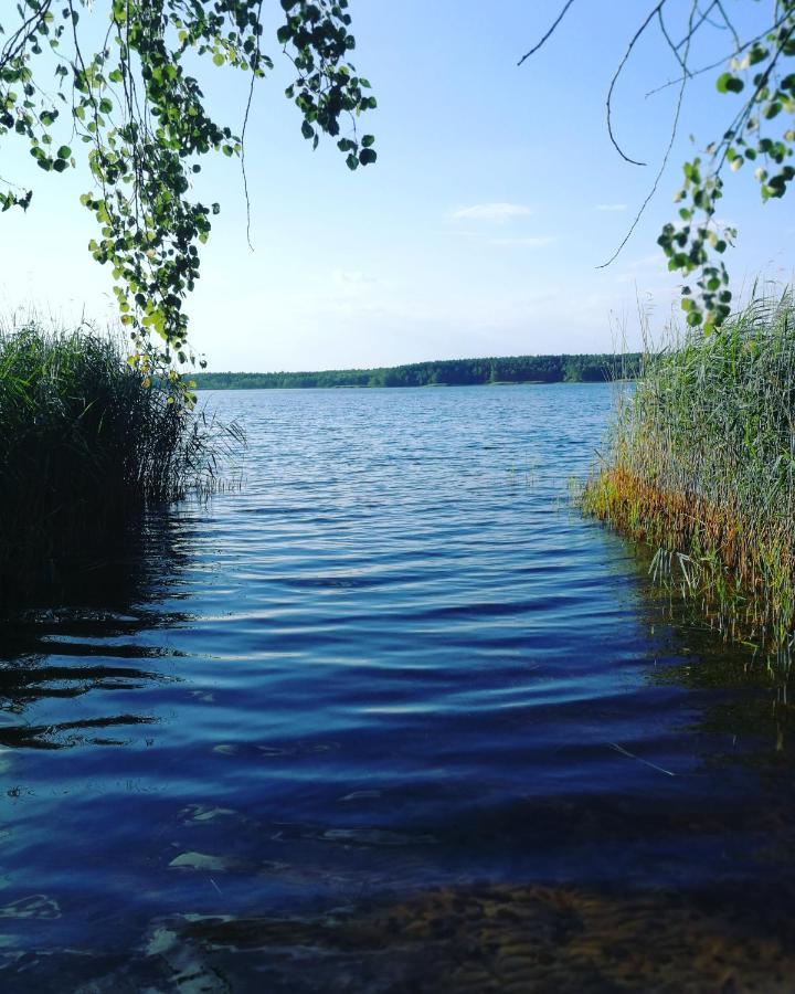 Gemuetliches Eigenes Haeuschen - Optimal Gelegen Zwischen Altstadt Und Hafen Senftenberg Zewnętrze zdjęcie